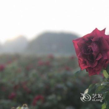 普者黑叁涧庭院民宿酒店提供图片