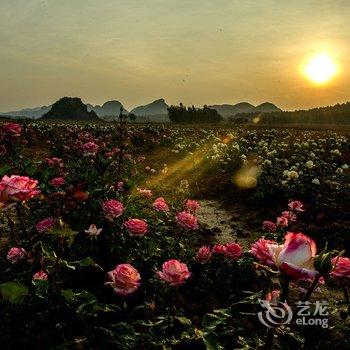 普者黑叁涧庭院民宿酒店提供图片