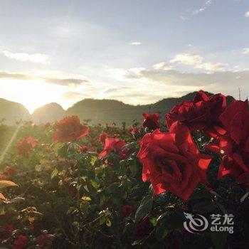 普者黑叁涧庭院民宿酒店提供图片