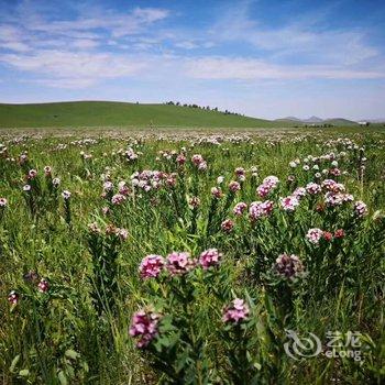 克什克腾旗安达牧人家度假村酒店提供图片