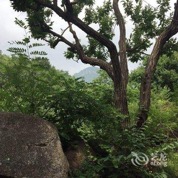 天津忆童年时光农家院酒店提供图片