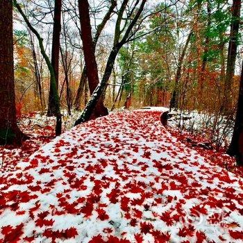 长白山冰雪客栈酒店提供图片