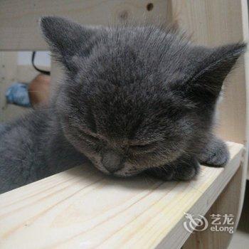 南宁间青年旅舍酒店提供图片