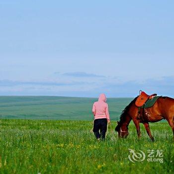 呼伦贝尔牧居原上蒙古包营地酒店提供图片