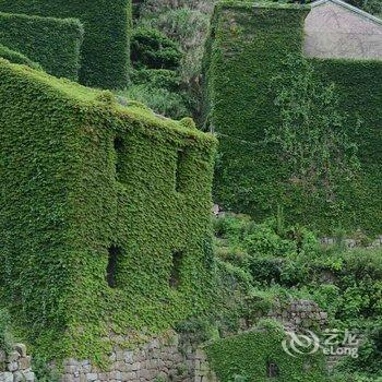 嵊泗枸杞岛花季民宿酒店提供图片