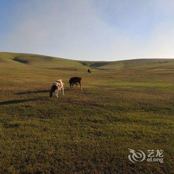 呼伦贝尔陈巴尔虎旗天边草原游牧部落酒店提供图片