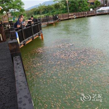 南靖源兴生态观光园酒店提供图片