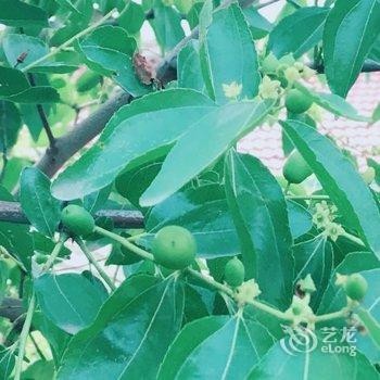 北京我的小院民宿酒店提供图片