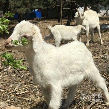 北京稻草人度假园酒店提供图片