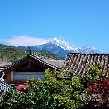 丽江猫儿匿动物主题客栈酒店提供图片