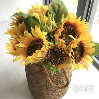 青岛蓝蓝姐公寓(南港一号线分店)酒店提供图片