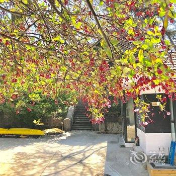 东森美墅(青岛佛涛路店)酒店提供图片