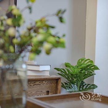 成都陈亚娟(00152480)公寓(宽巷子分店)酒店提供图片