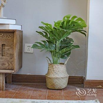 成都陈亚娟(00152480)公寓(宽巷子分店)酒店提供图片