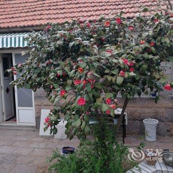 登瀛别苑民宿(青岛百雀林观光园店)酒店提供图片