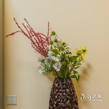 西安RSI(00140830)公寓(小雁塔路分店)酒店提供图片