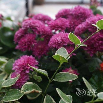 南充阆中欢宿天宫院五龙度假区度假酒店酒店提供图片