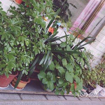 北京张秀凤农家院酒店提供图片