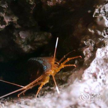 岱山邦宁半岛度假村酒店提供图片