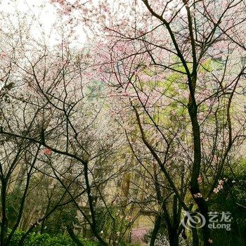 西安清水公寓酒店提供图片