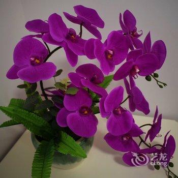 成都Hanhan_MM公寓(永康村分店)酒店提供图片