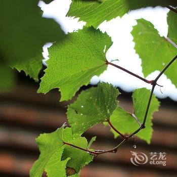 北京观景别院酒店提供图片