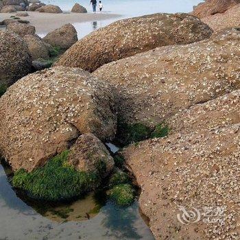 青岛燕子1公寓酒店提供图片