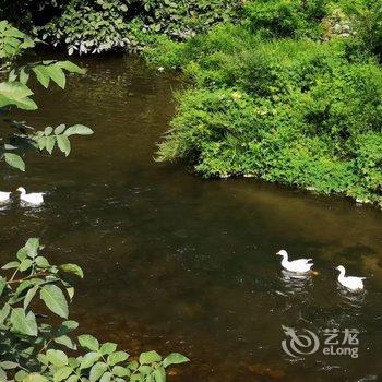 北京山里逸居酒店提供图片