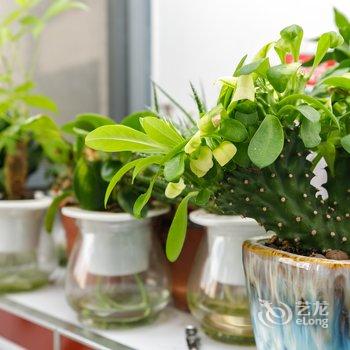 ħ�÷��鹫Ԣ(�Ϻ�ʯ�н���)�Ƶ��ṩͼƬ