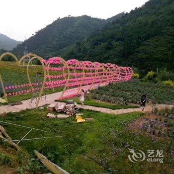 承德暑山庄后花园薰衣草民宿(老西营村分店)酒店提供图片