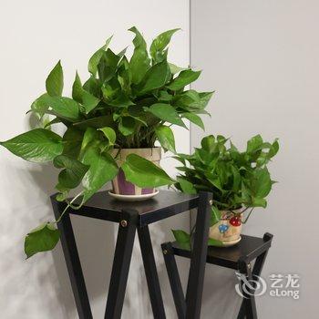 波Milan公寓酒店提供图片