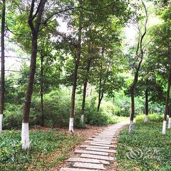 丁丁猫的小屋公寓(五福桥村分店)酒店提供图片