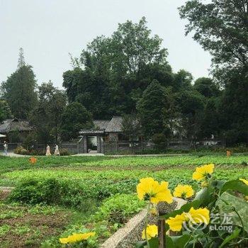 青旅无间客栈(崇州道明竹艺村分店)用户上传图片