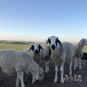 呼伦贝尔陈巴尔虎旗牧云山顶酒店酒店提供图片