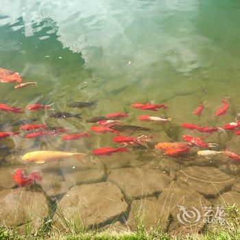 南宁环绕声的向日葵公寓酒店提供图片