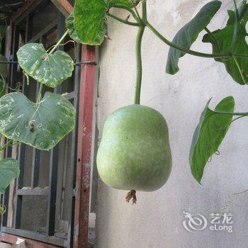 北京京舍特色民宿(大翔凤胡同分店)酒店提供图片