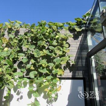 北京京舍特色民宿(大翔凤胡同分店)酒店提供图片