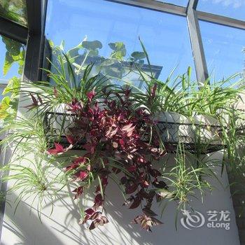 北京京舍特色民宿(大翔凤胡同分店)酒店提供图片