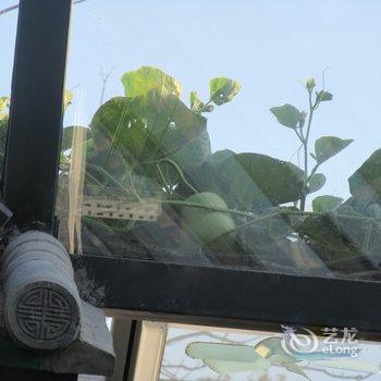 北京京舍特色民宿(大翔凤胡同分店)酒店提供图片