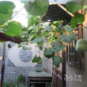 北京京舍特色民宿(大翔凤胡同分店)酒店提供图片