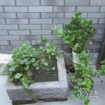 北京京舍特色民宿(大翔凤胡同分店)酒店提供图片