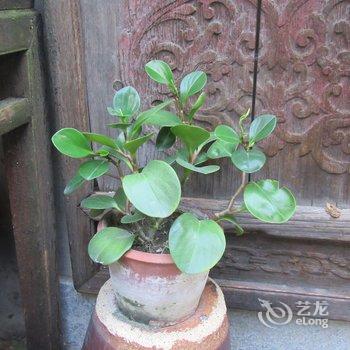 北京京舍特色民宿(大翔凤胡同分店)酒店提供图片