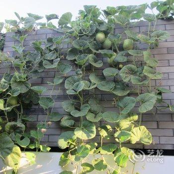 北京京舍特色民宿(大翔凤胡同分店)酒店提供图片