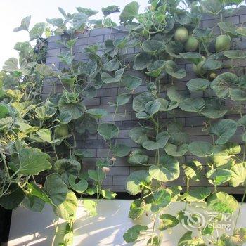 北京京舍特色民宿(大翔凤胡同分店)酒店提供图片