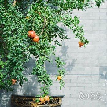 北京久依拾光四合院酒店提供图片