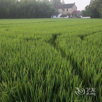 上海元桃民宿酒店提供图片