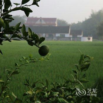 上海元桃民宿酒店提供图片