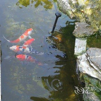启东聆海庭院别墅酒店提供图片