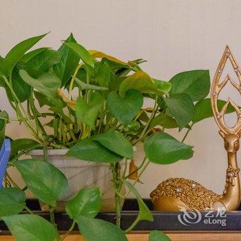 成都荀常月家公寓(3号店)酒店提供图片