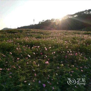 惠州幸福盛开度假别墅酒店提供图片